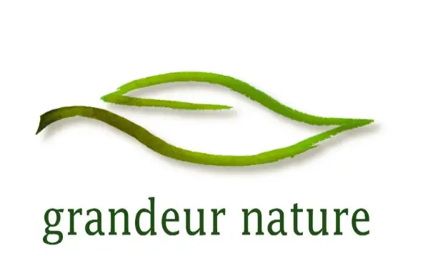 Logo paysagiste GRANDEUR NATURE