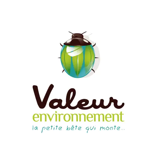 Logo paysagiste VALEUR ENVIRONNEMENT