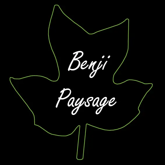 Logo paysagiste BENJI PAYSAGE
